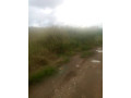 1-acre-land-for-sale-in-mass-media-small-2