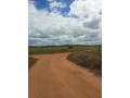 5-acre-plot-for-sale-in-mapepe-small-2