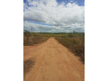 5-acre-plot-for-sale-in-mapepe-small-3