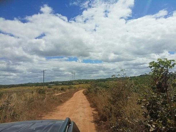 5-acre-plot-for-sale-in-mapepe-big-4
