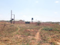 50m-by-40m-plot-for-sale-small-3