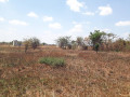 50m-by-40m-plot-for-sale-small-0