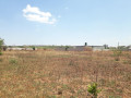 50m-by-40m-plot-for-sale-small-2