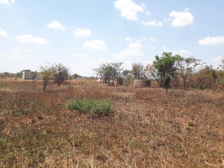 50m By 40m Plot For Sale