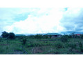 block-of-two-flats-for-sale-small-2