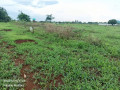 plots-for-sale-in-chalala-small-2