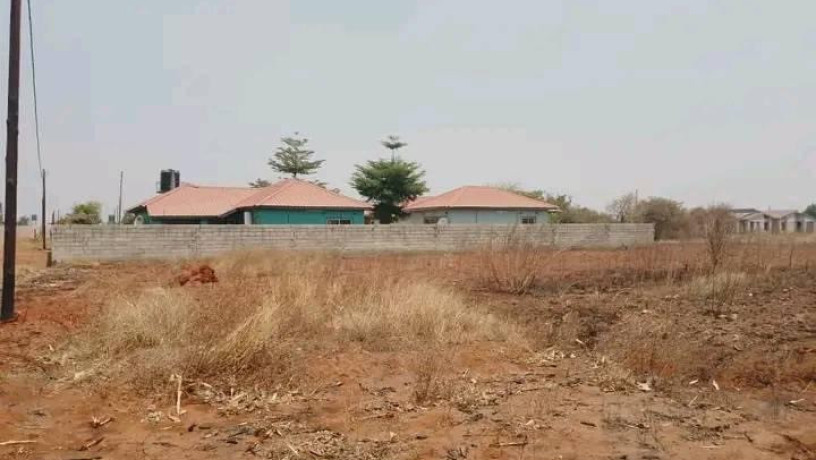 20m-by-40m-plot-for-sale-in-lilayi-big-1