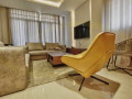 luxurious-fully-furnished-apartments-for-rent-in-roma-park-small-9