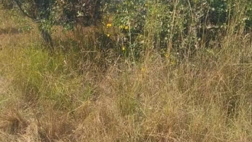 8-acres-commercial-plot-for-sale-in-makeni-big-1