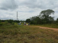 2000-sq-mt-of-land-for-sale-in-new-kasama-small-7