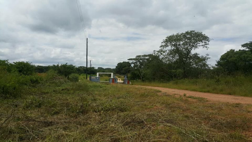 2000-sq-mt-of-land-for-sale-in-new-kasama-big-7