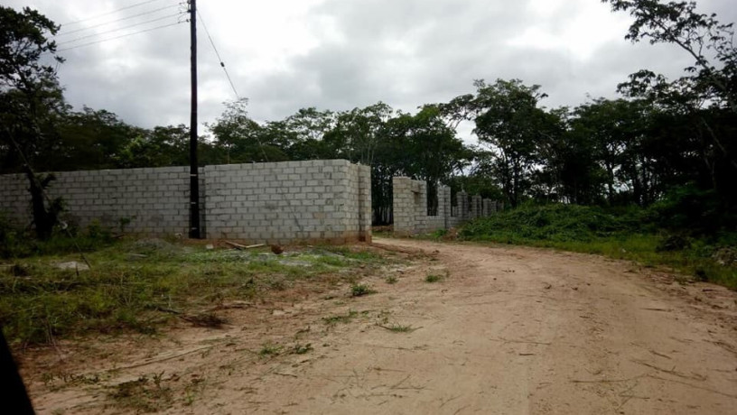 2000-sq-mt-of-land-for-sale-in-new-kasama-big-1