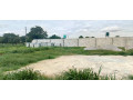 3-bedroom-flats-for-sale-in-ibex-hill-small-7