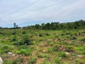 23-acres-land-for-sale-in-new-kasama-small-4