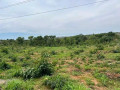 23-acres-land-for-sale-in-new-kasama-small-5