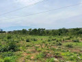 23-acres-land-for-sale-in-new-kasama-small-6