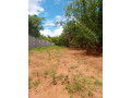 40m-by-25m-plot-for-sale-in-ibex-meanwood-small-2