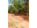 40m-by-25m-plot-for-sale-in-ibex-meanwood-small-0