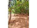 40m-by-25m-plot-for-sale-in-ibex-meanwood-small-3