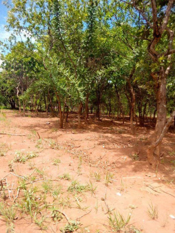 40m-by-25m-plot-for-sale-in-ibex-meanwood-big-0