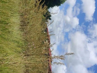 30m-by-50m-plot-for-sale-on-airport-road
