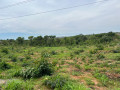 23-acres-land-for-sale-in-chifwema-road-small-5