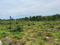 23-acres-land-for-sale-in-chifwema-road-small-3