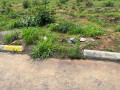 23-acres-land-for-sale-in-chifwema-road-small-2