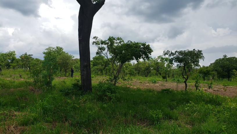 11-acres-land-for-sale-in-ibex-meanwood-big-2