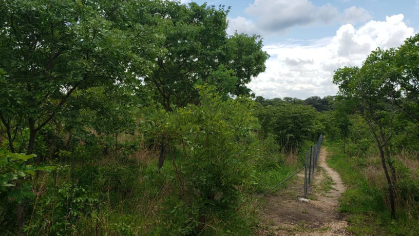 11-acres-land-for-sale-in-ibex-meanwood-big-3