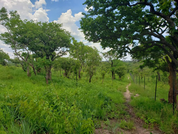 11-acres-land-for-sale-in-ibex-meanwood-big-4