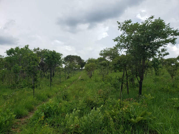 11-acres-land-for-sale-in-ibex-meanwood-big-6