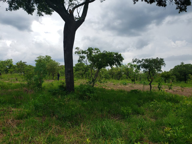 11-acres-land-for-sale-in-ibex-meanwood-big-2