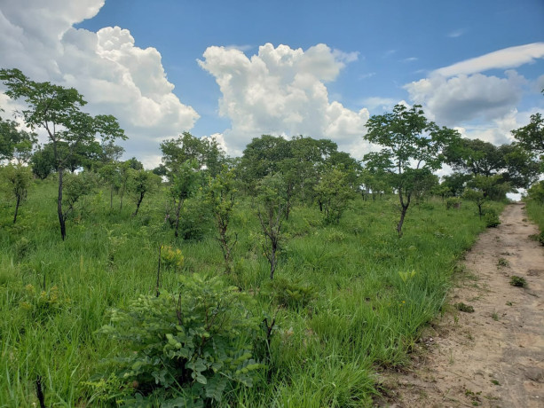 11-acres-land-for-sale-in-ibex-meanwood-big-5