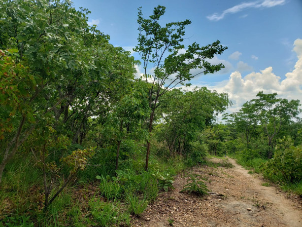 11-acres-land-for-sale-in-ibex-meanwood-big-7