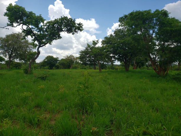 11-acres-land-for-sale-in-ibex-meanwood-big-8