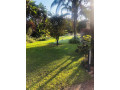 5-bedroom-house-for-sale-in-kabulonga-small-4