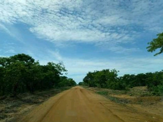 1196 Hectares of Land for Sale in Luwombwa