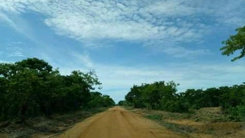 1196-hectares-of-land-for-sale-in-luwombwa-big-0