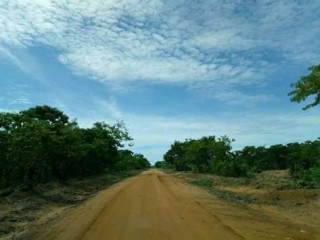 1196-hectares-of-land-for-sale-in-luwombwa