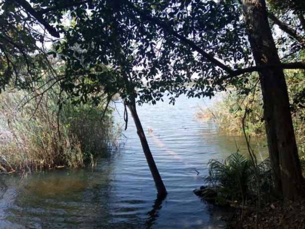 1196-hectares-of-land-for-sale-in-luwombwa-big-2