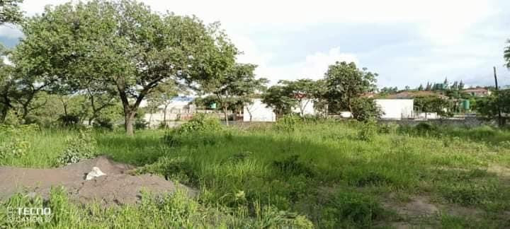 30m-by-40m-plot-for-sale-in-ibex-hill-big-2