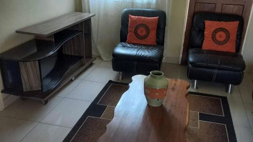 neat-and-modern-fully-furnished-apartments-for-rent-in-roma-lusaka-big-8