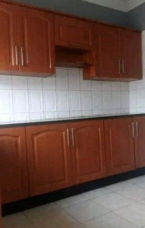 2-bedroom-flat-for-rent-in-salama-park-big-3