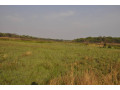 111-hectares-of-farm-land-for-sale-in-nasanga-project-small-3