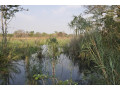 111-hectares-of-farm-land-for-sale-in-nasanga-project-small-5