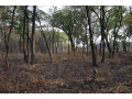 111-hectares-of-farm-land-for-sale-in-nasanga-project-small-2