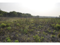 111-hectares-of-farm-land-for-sale-in-nasanga-project-small-4