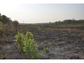 111-hectares-of-farm-land-for-sale-in-nasanga-project-small-7