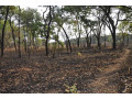 111-hectares-of-farm-land-for-sale-in-nasanga-project-small-1